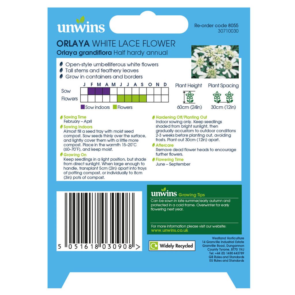 Unwins Orlaya White Lace Flower Seeds 5051618030908 2